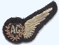 Air Gunner's badge