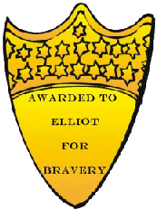 Elliot's Bravery Award