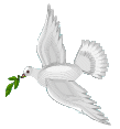 A Dove, Symbol of Peace